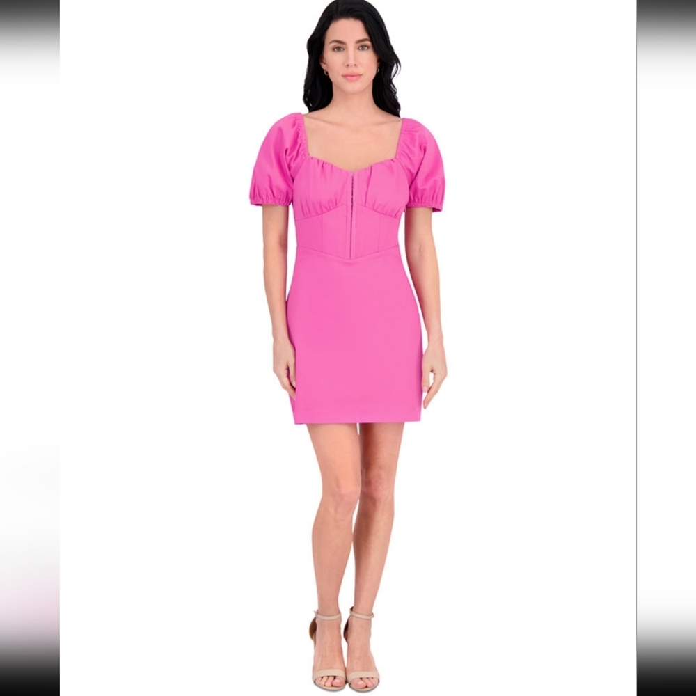 NWT Siena Studio Vibrant Pink Mini Dress